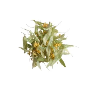 Ihlamur Yapraklı Çiçek Toros Yayla 30 gr