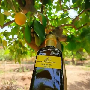 Limon Sarımsak Kürü Maydanozlu 500 ml