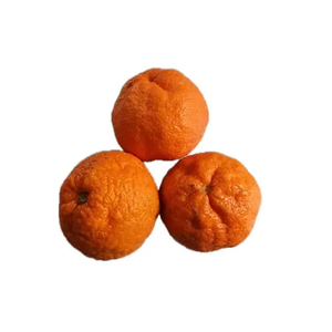 Satsuma Mandalina 6 kg