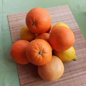 Şifa Paketi (Portakal, Mandalina, Greyfurt, Limon) 14 kg